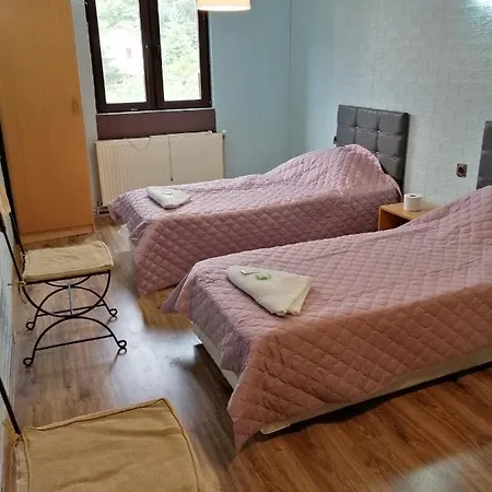 с две отделни легла Hotel